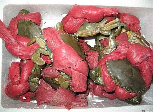 Mua cua giá hời, chàng trai ngã ngửa mớ dây buộc dài như áo mưa - 5 Mua cua giá hời, chàng trai ngã ngửa mớ dây buộc dài như áo mưa - 5