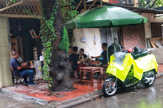 Kỳ lạ lối kiến trúc “cây mọc xuyên nhà” ở khu tập thể cũ Hà Nội - 13 Kỳ lạ lối kiến trúc “cây mọc xuyên nhà” ở khu tập thể cũ Hà Nội - 13