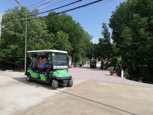 Thăm biểu tượng đường Hồ Chí Minh, ngắm cá thòi lòi, ốc len... lên bờ  - 11