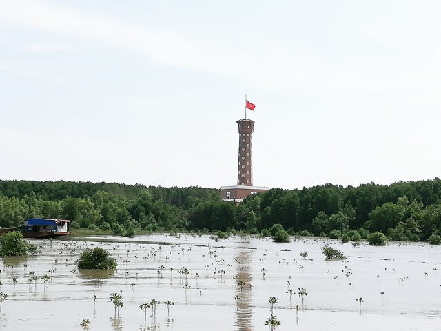 Thăm biểu tượng đường Hồ Chí Minh, ngắm cá thòi lòi, ốc len... lên bờ  - 15