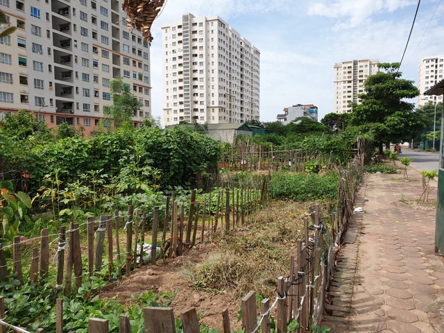 Hà Nội: Trúng đấu giá đất ở khu đô thị mới nhưng 10 năm... vẫn chưa được nhận đất - 1 Hà Nội: Trúng đấu giá đất ở khu đô thị mới nhưng 10 năm... vẫn chưa được nhận đất - 1