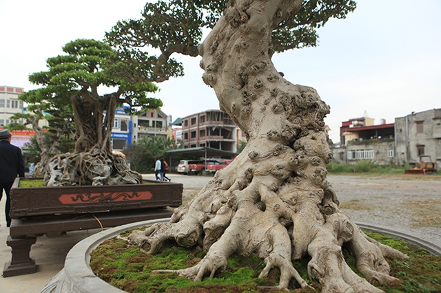 Chiêm ngưỡng siêu phẩm “Gươm báu truyền kỳ” của đại gia đất Việt Trì - 14 Chiêm ngưỡng siêu phẩm “Gươm báu truyền kỳ” của đại gia đất Việt Trì - 14
