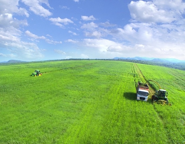 Tập đoàn TH được vinh danh tại chương trình Vinh quang Việt Nam 2019 - 2 Tập đoàn TH được vinh danh tại chương trình Vinh quang Việt Nam 2019 - 2