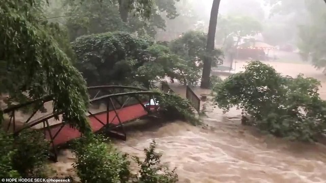 Thủ đô Wasington ngập nặng vì mưa lớn, Nhà Trắng cũng không thoát - 14
