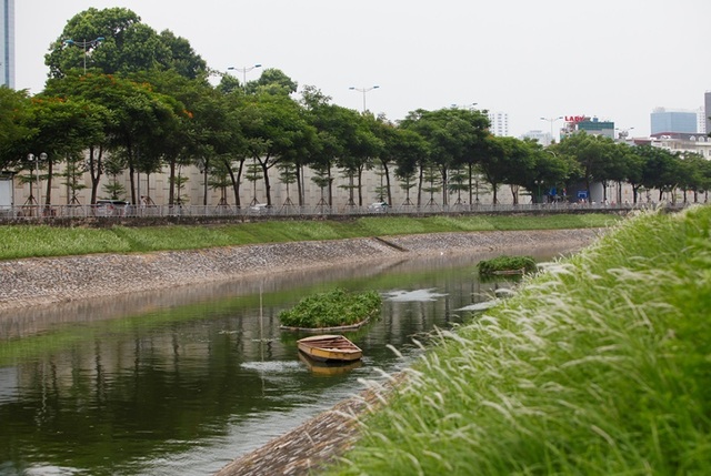 Sông Tô Lịch bất ngờ chuyển màu xanh sau khi nhận nước từ hồ Tây - 4 Sông Tô Lịch bất ngờ chuyển màu xanh sau khi nhận nước từ hồ Tây - 4