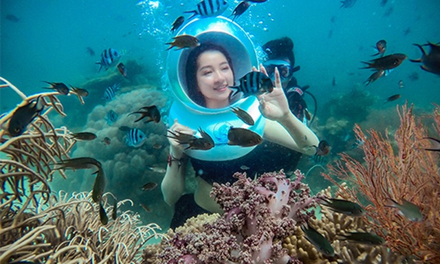 Đi bộ dưới đáy biển ngắm nhìn san hô - 4 Đi bộ dưới đáy biển ngắm nhìn san hô - 4