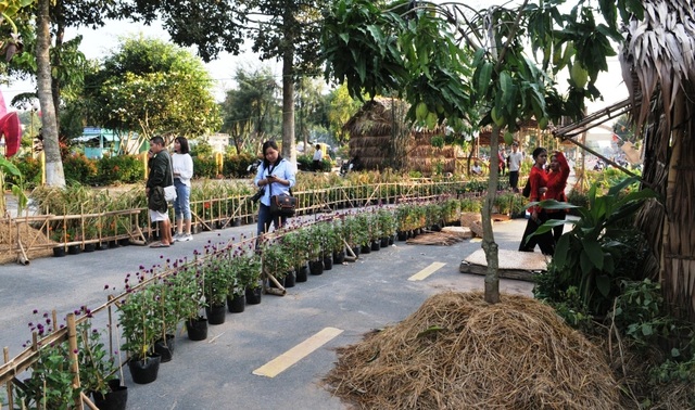 Ngắm phố cổ Hội An giữa lòng thành phố Đồng Tháp - 4 Ngắm phố cổ Hội An giữa lòng thành phố Đồng Tháp - 4