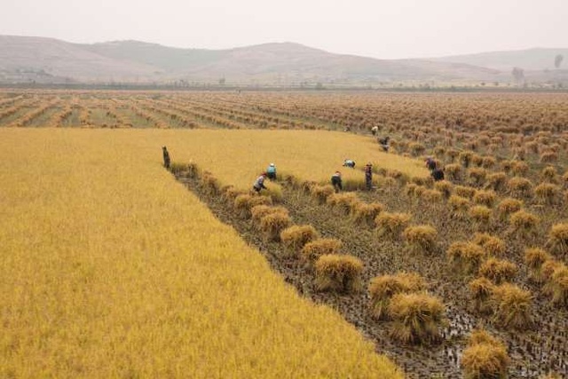 Ảnh độc: Triều Tiên đẹp như thiên đường khiến thế giới ngỡ ngàng - 14 Ảnh độc: Triều Tiên đẹp như thiên đường khiến thế giới ngỡ ngàng - 14
