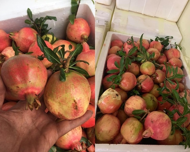 Những loại quả Trung Quốc quảng cáo đặc sản Việt, dạt khắp vỉa hè Hà Nội - 1 Những loại quả Trung Quốc quảng cáo đặc sản Việt, dạt khắp vỉa hè Hà Nội - 1