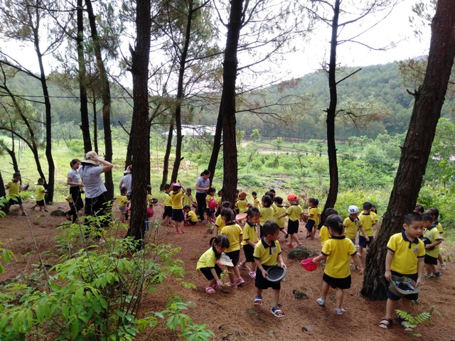 Khu du lịch sinh thái hoạt động trái phép vẫn đón khách tham quan tại Nghệ An - 17 Khu du lịch sinh thái hoạt động trái phép vẫn đón khách tham quan tại Nghệ An - 17