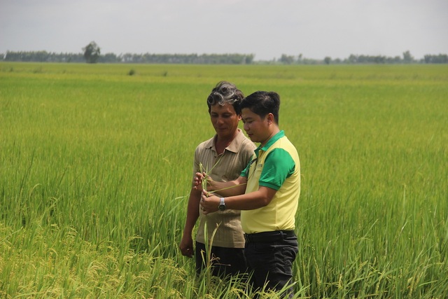 Giải pháp cho nông dân khi nông sản rớt giá - 1 Giải pháp cho nông dân khi nông sản rớt giá - 1