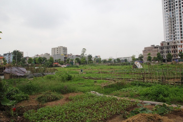 Hàng loạt hộ dân bị thu hồi đất kiến nghị được xem xét lại mức giá đền bù - 1 Hàng loạt hộ dân bị thu hồi đất kiến nghị được xem xét lại mức giá đền bù - 1