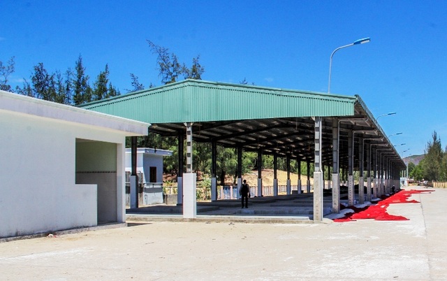 Bình Định: Bến cá 26 tỷ đồng bỏ hoang? - 1 Bình Định: Bến cá 26 tỷ đồng bỏ hoang? - 1