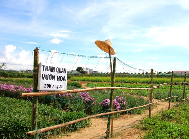 Chuyện lạ Kon Tum: Trồng rau cải làm du lịch, có thêm 20 triệu/tháng - 2 Chuyện lạ Kon Tum: Trồng rau cải làm du lịch, có thêm 20 triệu/tháng - 2