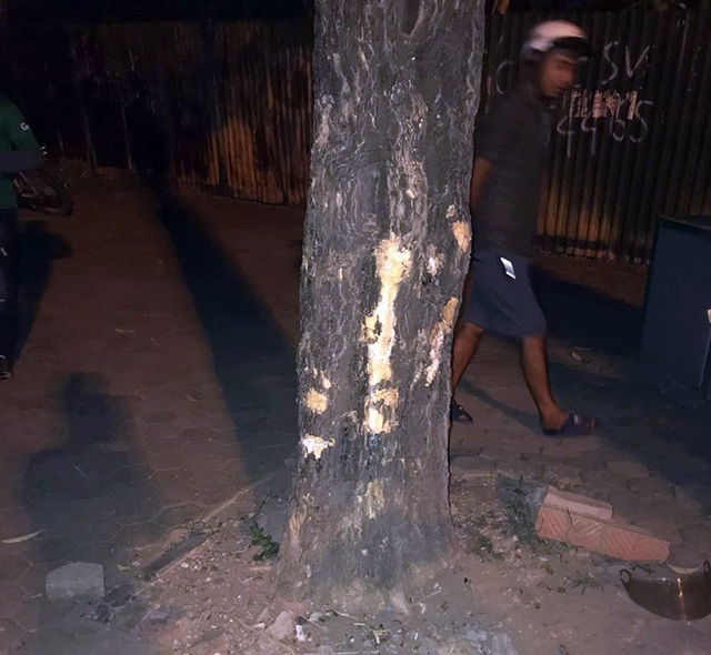 Hà Nội: Đôi nam nữ đi xe máy tông vào gốc cây ven đường, 1 người tử vong - 2