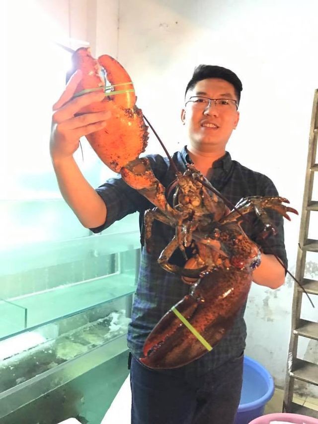 Tu hài khổng lồ, cua dài cả mét: Đại gia không tiếc tiền mua về thưởng thức - 3 Tu hài khổng lồ, cua dài cả mét: Đại gia không tiếc tiền mua về thưởng thức - 3
