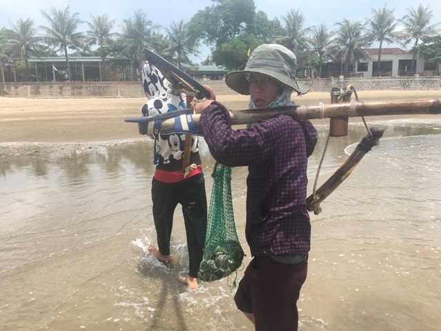 Nghề đi lùi cào ngao ở biển Quỳnh xứ Nghệ, kiếm 300 ngàn/ngày - 4 Nghề đi lùi cào ngao ở biển Quỳnh xứ Nghệ, kiếm 300 ngàn/ngày - 4