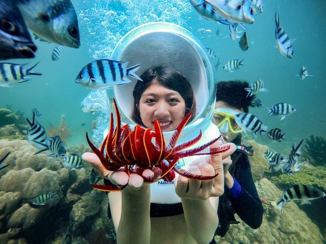 5 điểm ngắm san hô đẹp nhất Việt Nam, nhất định phải khám phá một lần trong đời - 2