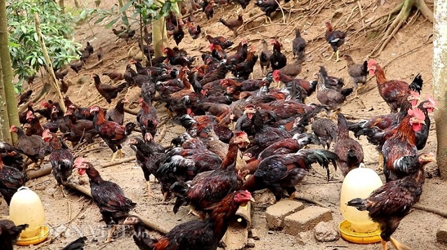 Làm giàu khác người: Một nghề thì sống, đống nghề...thành tỷ phú - 2 Làm giàu khác người: Một nghề thì sống, đống nghề...thành tỷ phú - 2