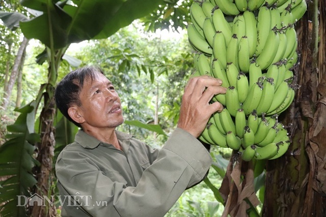 Làm giàu khác người: Một nghề thì sống, đống nghề...thành tỷ phú - 4 Làm giàu khác người: Một nghề thì sống, đống nghề...thành tỷ phú - 4