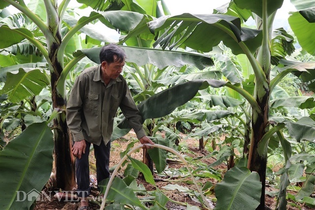 Làm giàu khác người: Một nghề thì sống, đống nghề...thành tỷ phú - 5 Làm giàu khác người: Một nghề thì sống, đống nghề...thành tỷ phú - 5