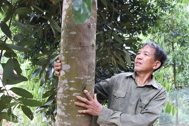 Làm giàu khác người: Một nghề thì sống, đống nghề...thành tỷ phú - 7 Làm giàu khác người: Một nghề thì sống, đống nghề...thành tỷ phú - 7