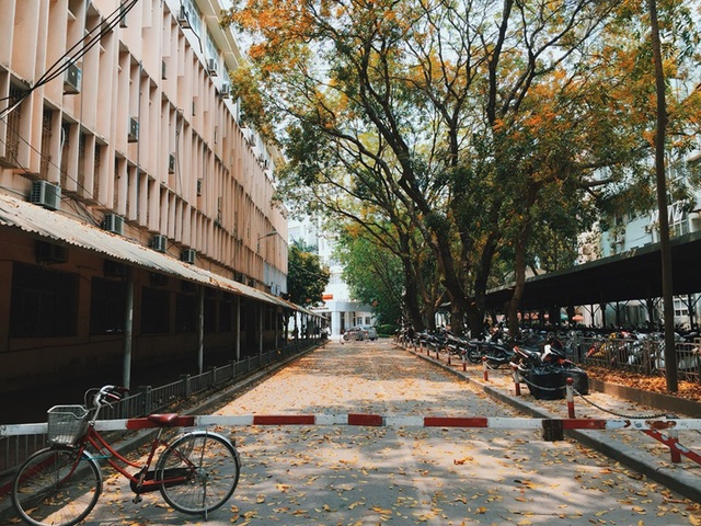 Ngắm ĐH Quốc gia Hà Nội đẹp nao lòng qua góc máy của chàng sinh viên 5 tốt - 8 Ngắm ĐH Quốc gia Hà Nội đẹp nao lòng qua góc máy của chàng sinh viên 5 tốt - 8