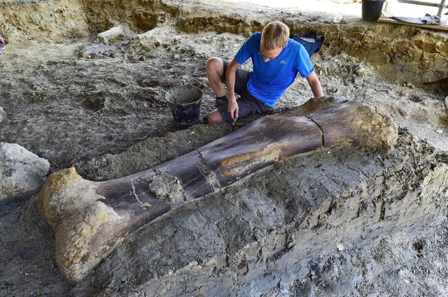 Tìm thấy xương đùi dài hai mét 140 triệu năm tuổi - 2