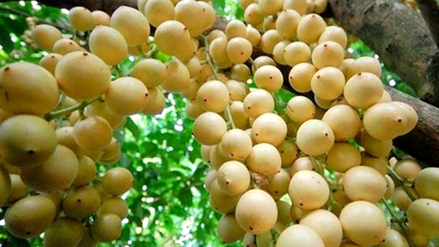 Khám phá làng cổ Lộc Yên Khám phá làng cổ Lộc Yên
