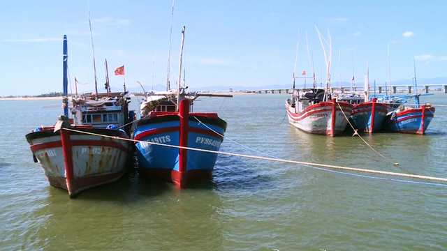Phú Yên: 145 tàu cá nằm bờ giữa mùa cá ngừ vì ...chiều dài dưới 15 m - 1 Phú Yên: 145 tàu cá nằm bờ giữa mùa cá ngừ vì ...chiều dài dưới 15 m - 1