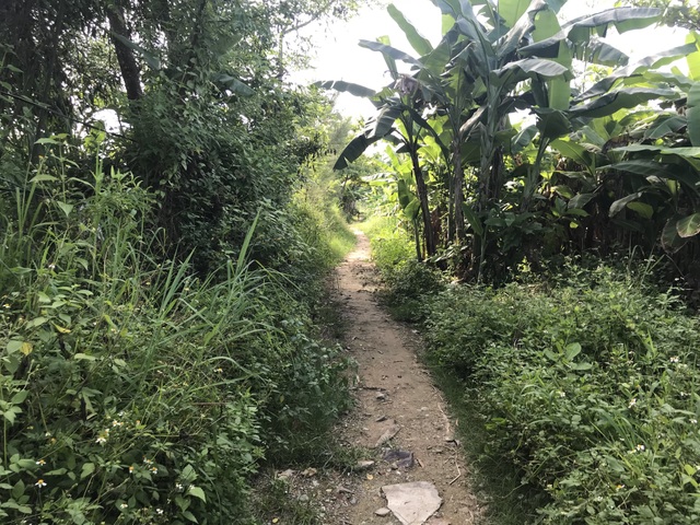 Xót thương những đứa trẻ nheo nhóc lo...người cha không ăn được cơm - 5 Xót thương những đứa trẻ nheo nhóc lo...người cha không ăn được cơm - 5