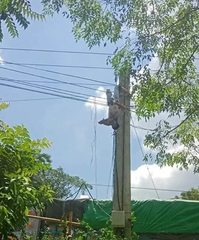 Giải cứu xe tải vướng dây điện, tài xế bị điện giật trọng thương - 2 Giải cứu xe tải vướng dây điện, tài xế bị điện giật trọng thương - 2