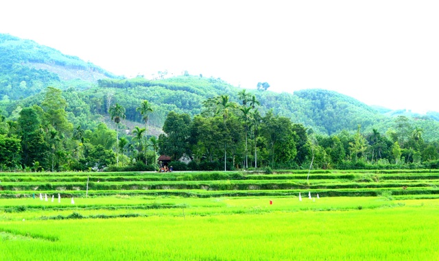 Khám phá làng cổ Hội An ở miền núi Quảng Nam Khám phá làng cổ Hội An ở miền núi Quảng Nam