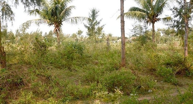 Quảng Ngãi: Hàng loạt dự án du lịch chậm tiến độ - 2 Quảng Ngãi: Hàng loạt dự án du lịch chậm tiến độ - 2