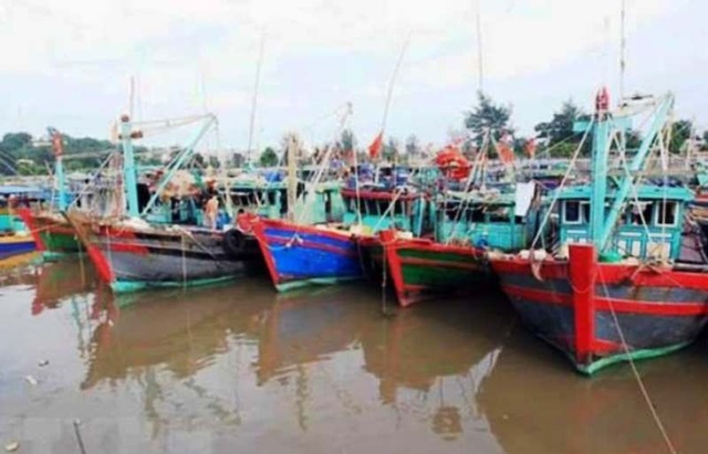 Di dời 14.208 hộ dân sinh sống ngoài đê chính trước giờ bão vào - 1 Di dời 14.208 hộ dân sinh sống ngoài đê chính trước giờ bão vào - 1