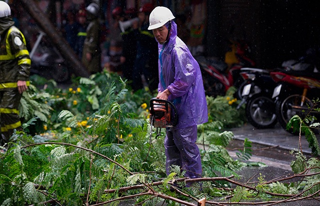 Hà Nội mưa liên tục sau bão, cây xanh gãy đổ ở nhiều nơi - 12 Hà Nội mưa liên tục sau bão, cây xanh gãy đổ ở nhiều nơi - 12