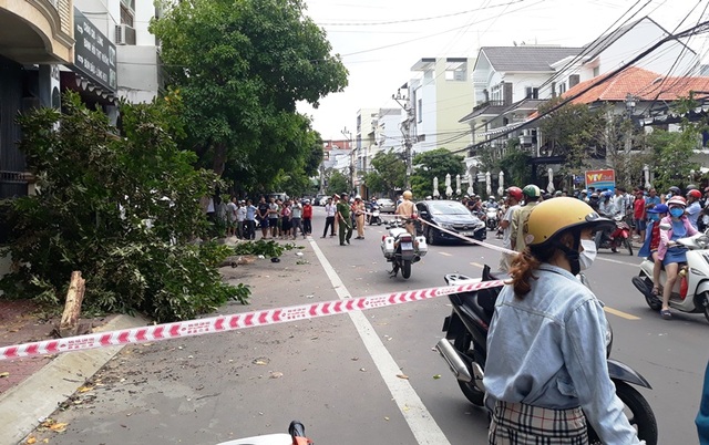 Ô tô lao lên vỉa hè tông đổ cây lớn, 2 người thương vong - 5 Ô tô lao lên vỉa hè tông đổ cây lớn, 2 người thương vong - 5