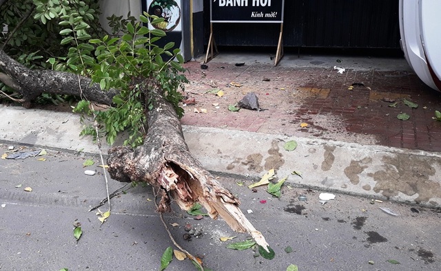 Ô tô lao lên vỉa hè tông đổ cây lớn, 2 người thương vong - 2 Ô tô lao lên vỉa hè tông đổ cây lớn, 2 người thương vong - 2