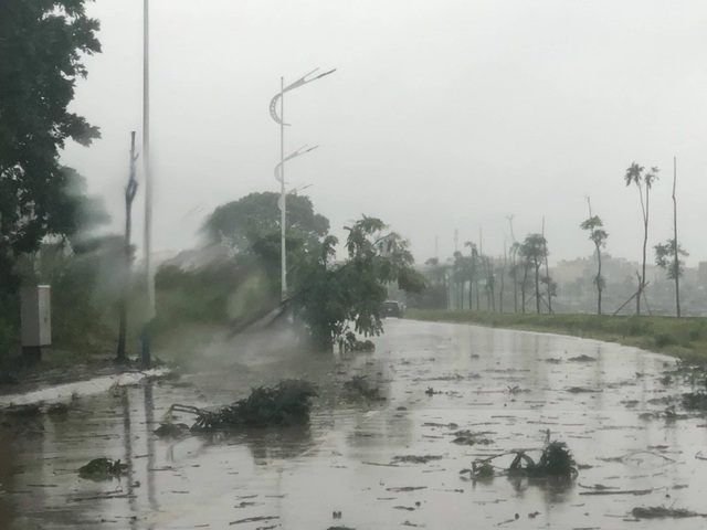 Đường phố ngập sâu, cây xanh gãy đổ ngổn ngang sau bão số 3 - 16 Đường phố ngập sâu, cây xanh gãy đổ ngổn ngang sau bão số 3 - 16