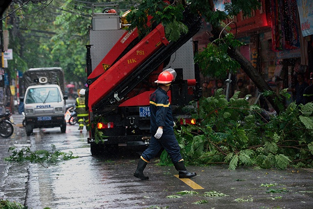 Hà Nội mưa liên tục sau bão, cây xanh gãy đổ ở nhiều nơi - 4 Hà Nội mưa liên tục sau bão, cây xanh gãy đổ ở nhiều nơi - 4