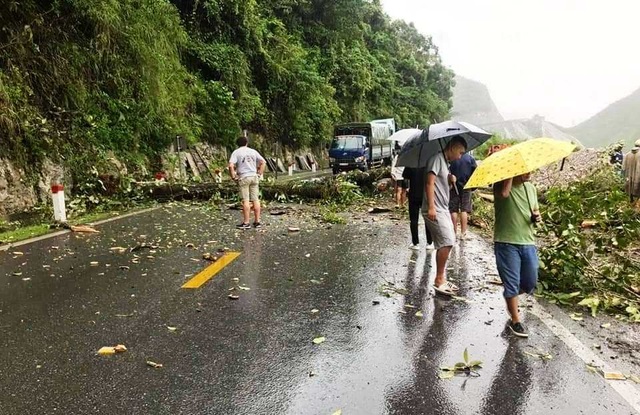 Cây đổ chắn ngang quốc lộ 6, giao thông ùn tắc nhiều giờ - 5 Cây đổ chắn ngang quốc lộ 6, giao thông ùn tắc nhiều giờ - 5