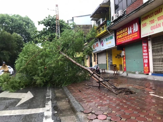 Hà Nội mưa liên tục sau bão, cây xanh gãy đổ ở nhiều nơi - 10 Hà Nội mưa liên tục sau bão, cây xanh gãy đổ ở nhiều nơi - 10