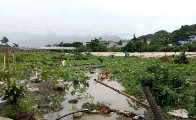 Sơn La: 1 người chết, hàng trăm ngôi nhà ngập lụt vì mưa bão - 6 Sơn La: 1 người chết, hàng trăm ngôi nhà ngập lụt vì mưa bão - 6