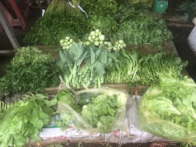 Rau củ Việt tăng gấp đôi, hàng Trung Quốc lại đứng giá sau mưa bão - 1 Rau củ Việt tăng gấp đôi, hàng Trung Quốc lại đứng giá sau mưa bão - 1
