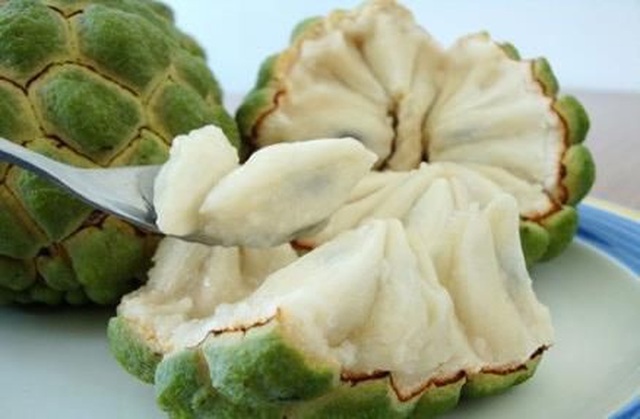 Những người có bệnh này cần kiêng ăn na để bảo vệ sức khỏe - 1 Những người có bệnh này cần kiêng ăn na để bảo vệ sức khỏe - 1