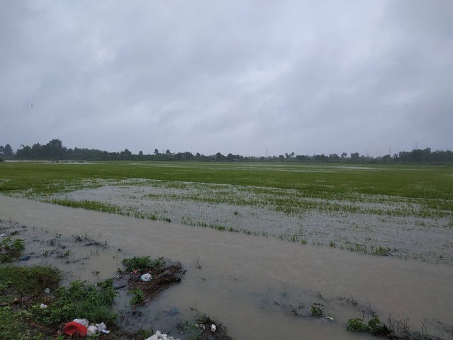 Đắk Lắk mênh mông nước ngập sau nhiều giờ mưa lớn - 4 Đắk Lắk mênh mông nước ngập sau nhiều giờ mưa lớn - 4