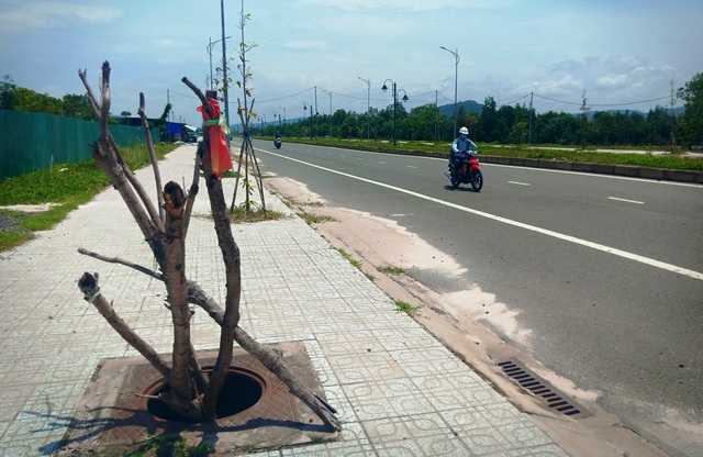 Hàng loạt cống trên tuyến đường đẹp nhất nhì Phú Quốc há miệng bẫy người! - 1 Hàng loạt cống trên tuyến đường đẹp nhất nhì Phú Quốc há miệng bẫy người! - 1