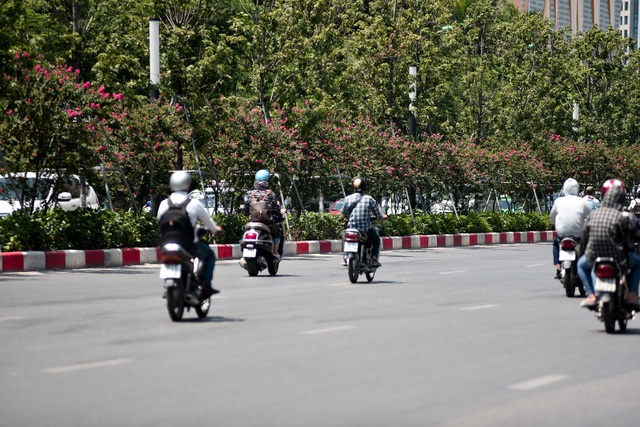 Con ÄÆ°á»ng hoa tÆ°á»ng vi ná» há»ng lÃ£ng máº¡n á» HÃ  Ná»i - 11