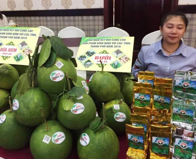 Đặc sản nức tiếng một thời “Trà Gò Loi” Hoài Ân vực dậy thương hiệu - 3 Đặc sản nức tiếng một thời “Trà Gò Loi” Hoài Ân vực dậy thương hiệu - 3