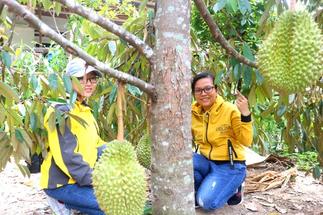 Ngày hội cây trái làng Đại Bình